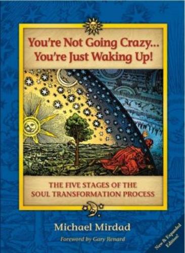 You're Not Going Crazy . . . You're Just Waking Up!