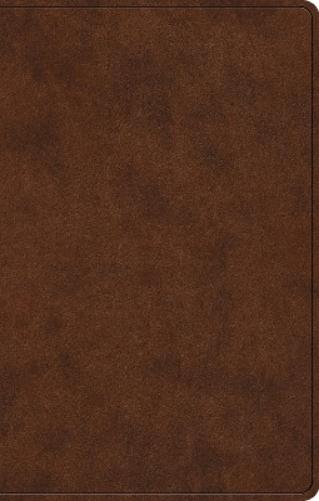 ESV Premium Gift Bible, Red Letter