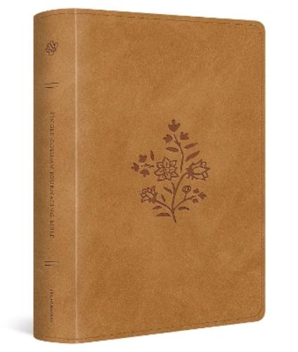 ESV Single Column Journaling Bible, Large Print