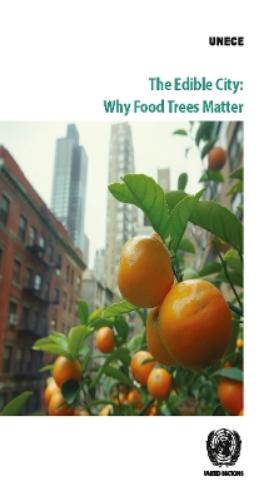 The Edible City: Why Food Trees Matter: More Than Just Shade: the Benefits of Nature-based Solutions for More Resilient Cities (Geneva Timber and Forest Discussion Papers