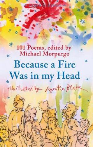 Because a Fire Was in My Head