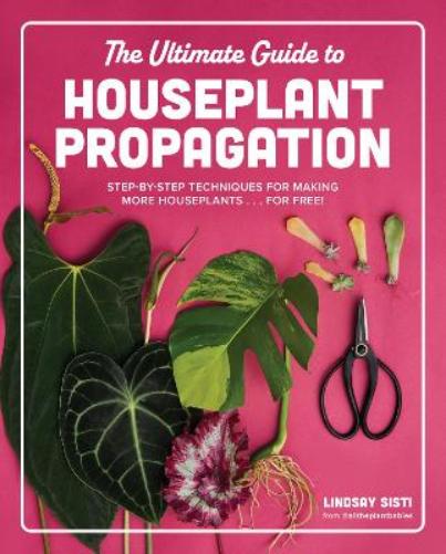 The Ultimate Guide to Houseplant Propagation