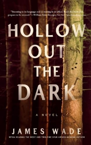 Hollow Out the Dark