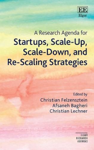 A Research Agenda for Startups, Scale-Up, Scale-Down, and Re-Scaling Strategies