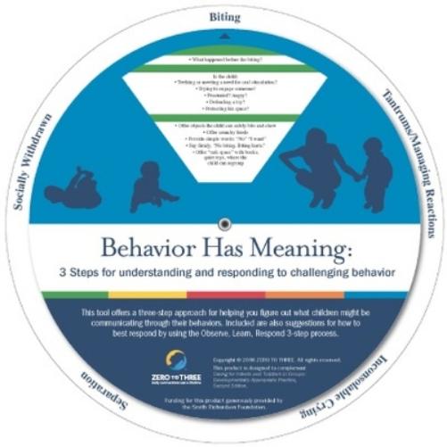 Behavior Has Meaning Wheels
