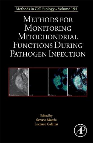 Methods for Monitoring Mitochondrial Functions During Pathogen Infection