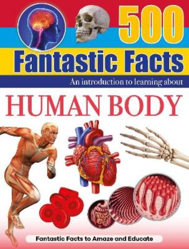Human Body