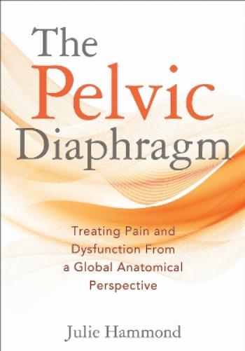 The Pelvic Diaphragm