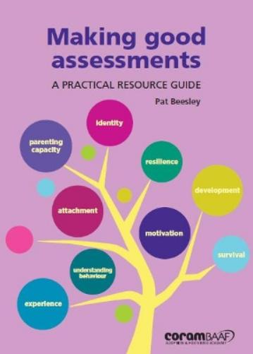 Making Good Assessments: A Practical Resource Guide