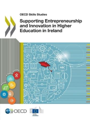 Supporting Entrepreneurship and Innovation in Higher Education in Ireland