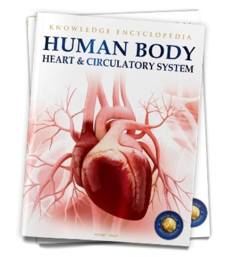 Human Body: Heart And Circulatory System (Knowledge Encyclopedia For Children