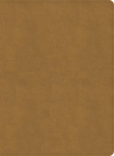 NASB Study Bible, Camel Suedesoft Leathertouch