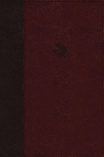 NKJV, Spirit-Filled Life Bible, Third Edition, Leathersoft, Burgundy, Thumb Indexed, Red Letter, Comfort Print