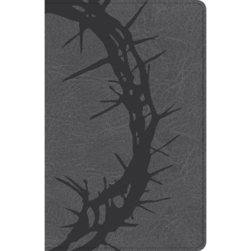 CSB Large Print Personal Size Reference Bible, Charcoal