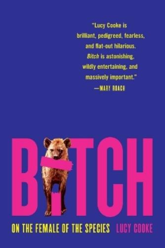 Bitch