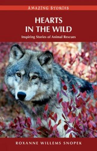Hearts in the Wild