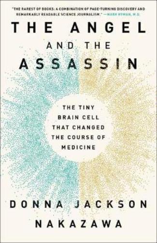 The Angel and the Assassin