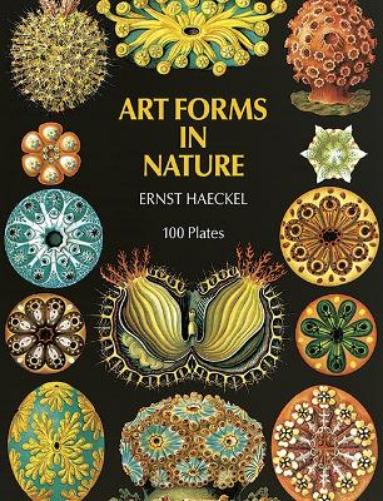 Art Forms in Nature