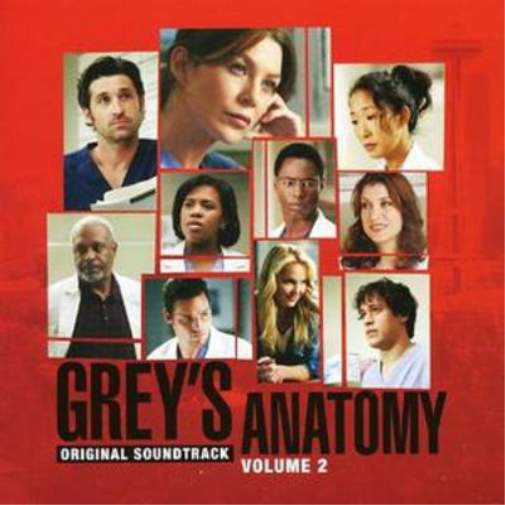 Grey's Anatomy Vol. 2