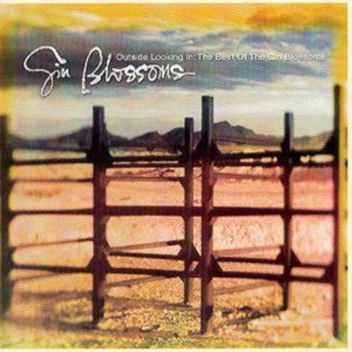 Outside Looking In: THE BEST OF THE GIN BLOSSOMS