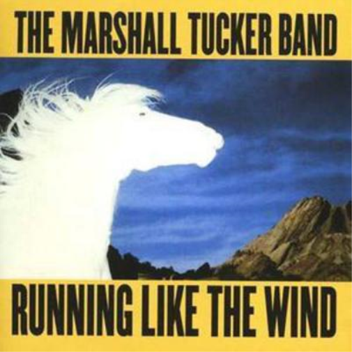Running Like the Wind
