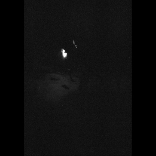 Nacht