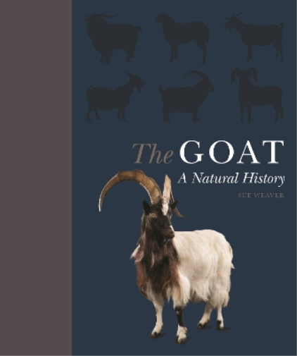 The Goat