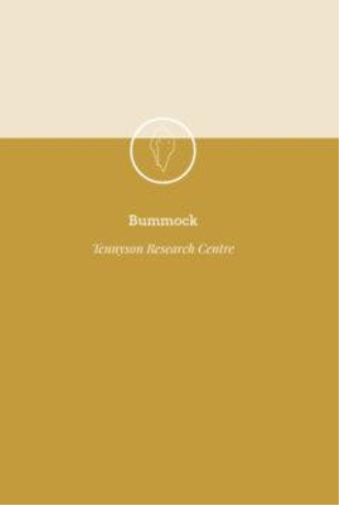 Bummock
