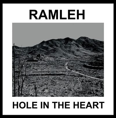Hole in the Heart