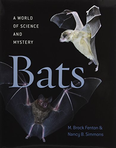Bats
