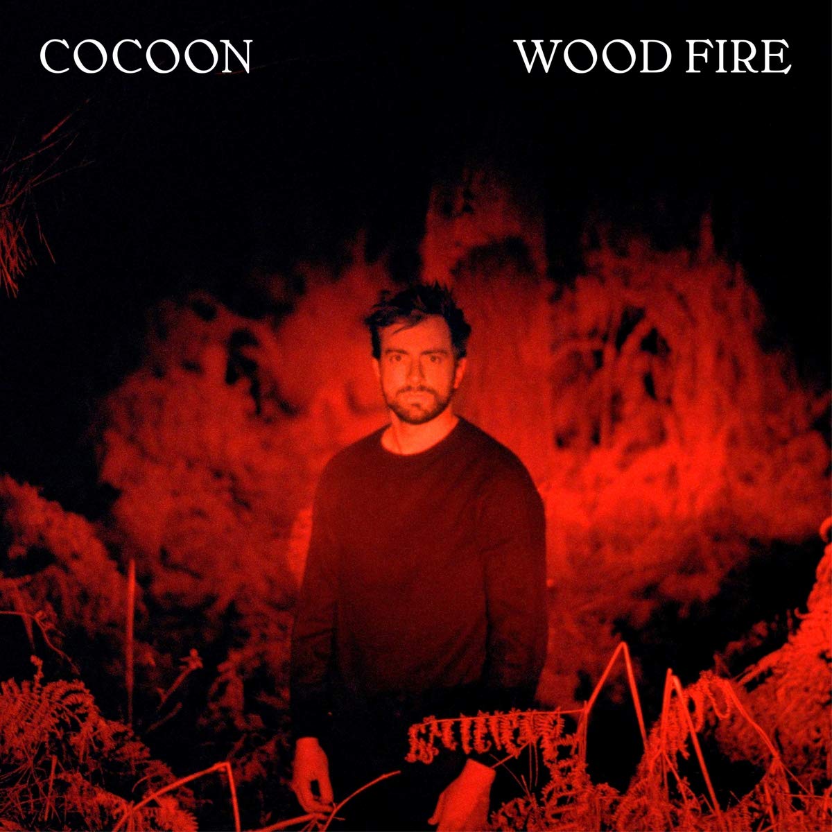 WOOD FIRE
