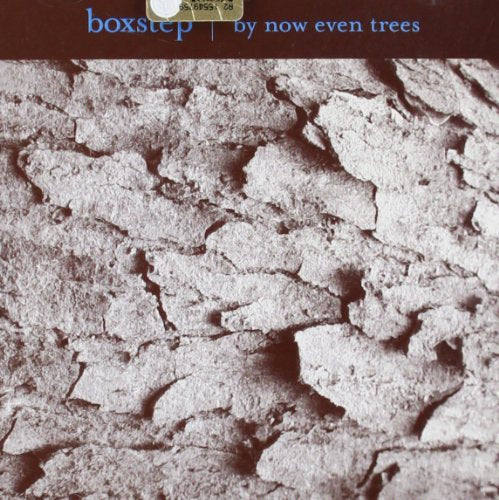 Boxstep-By Now Even Trees