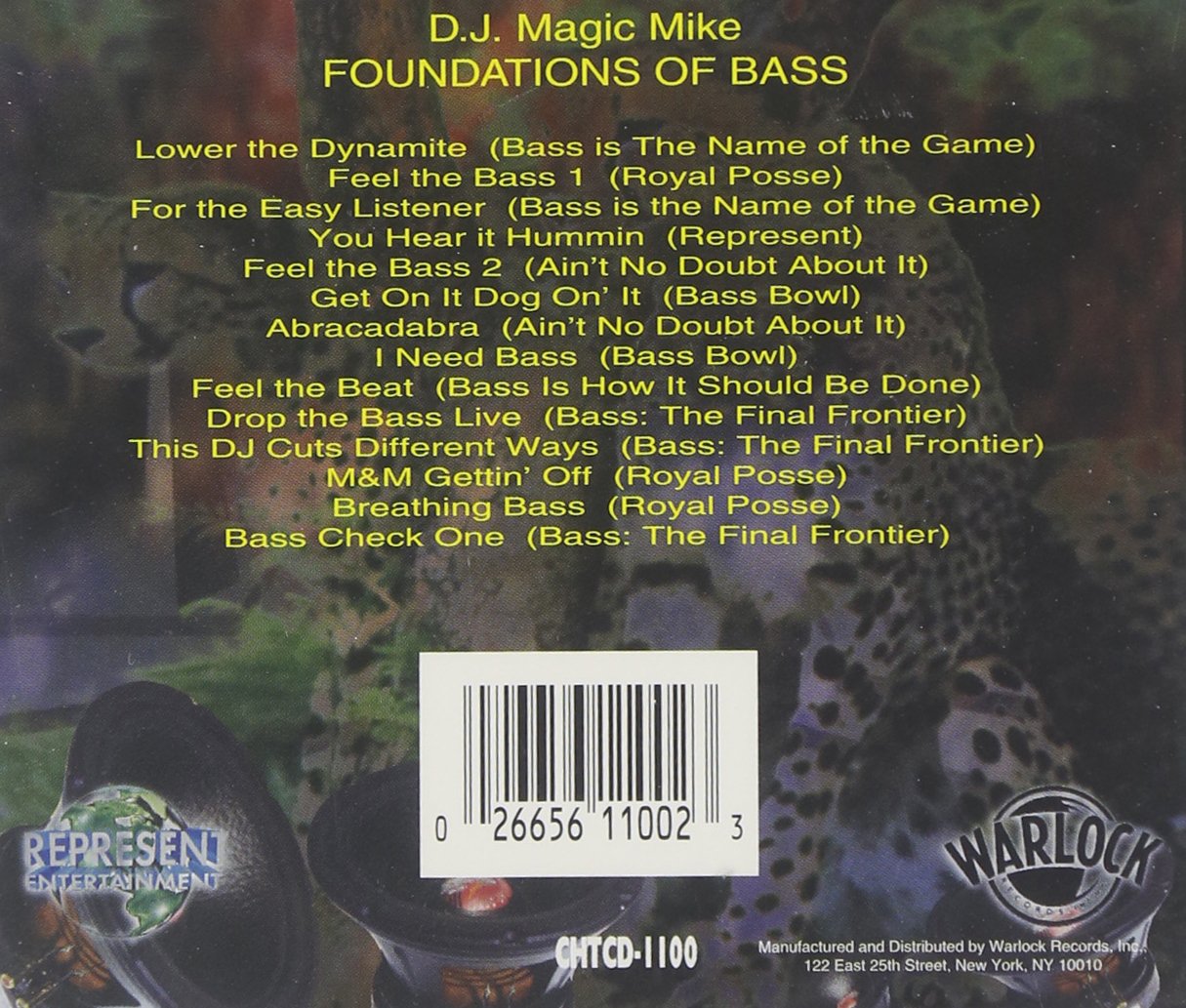 Foundations of Bass