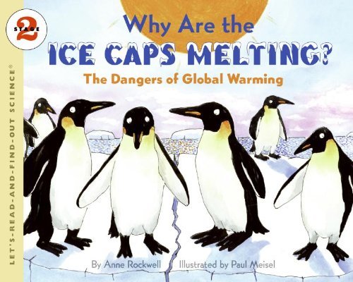 Why Are the Ice Caps Melting?