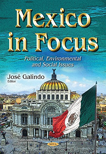 Mexico in Focus