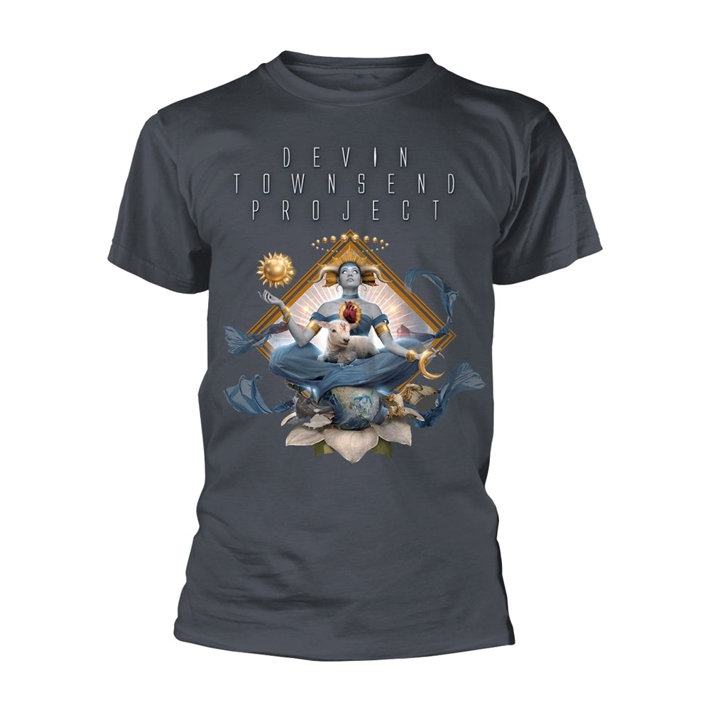DEVIN TOWNSEND PROJECT - LOWER MID TIER PROG METAL GREY T-Shirt, Front & Back Print Small - LOWER MID TIER PROG METAL