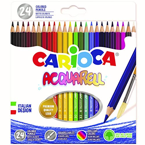 Cf24 Pastelli Acquarellabili