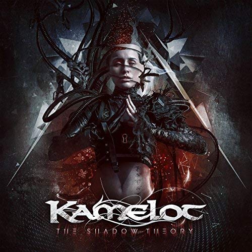 The Shadow Theory (2 LPs Pink)
