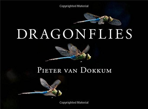Dragonflies