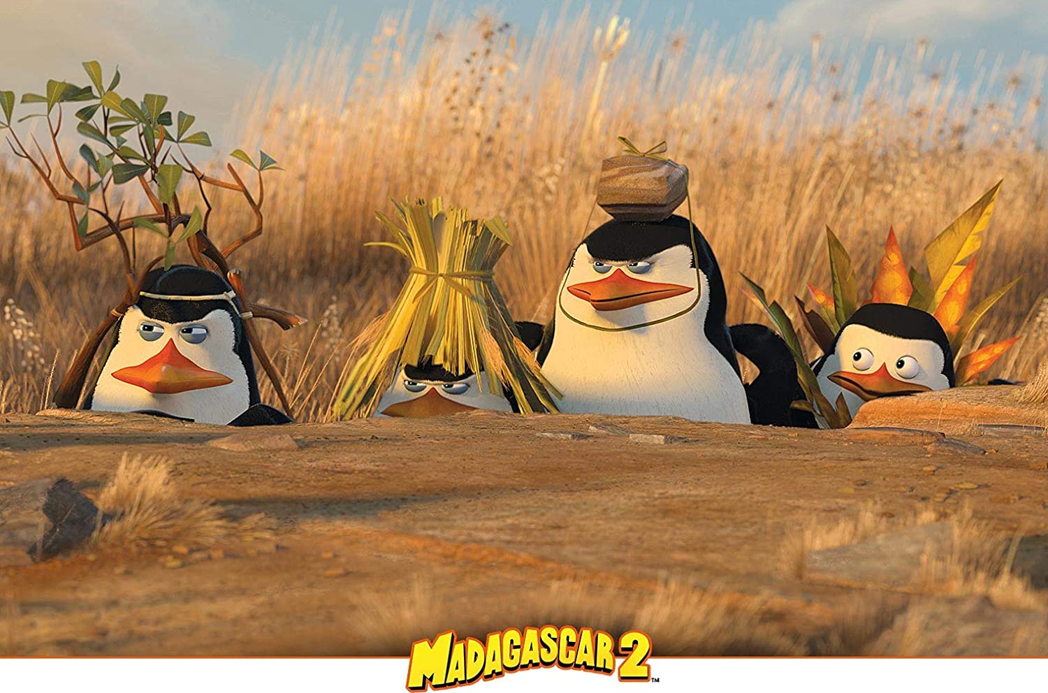 Madagascar 2