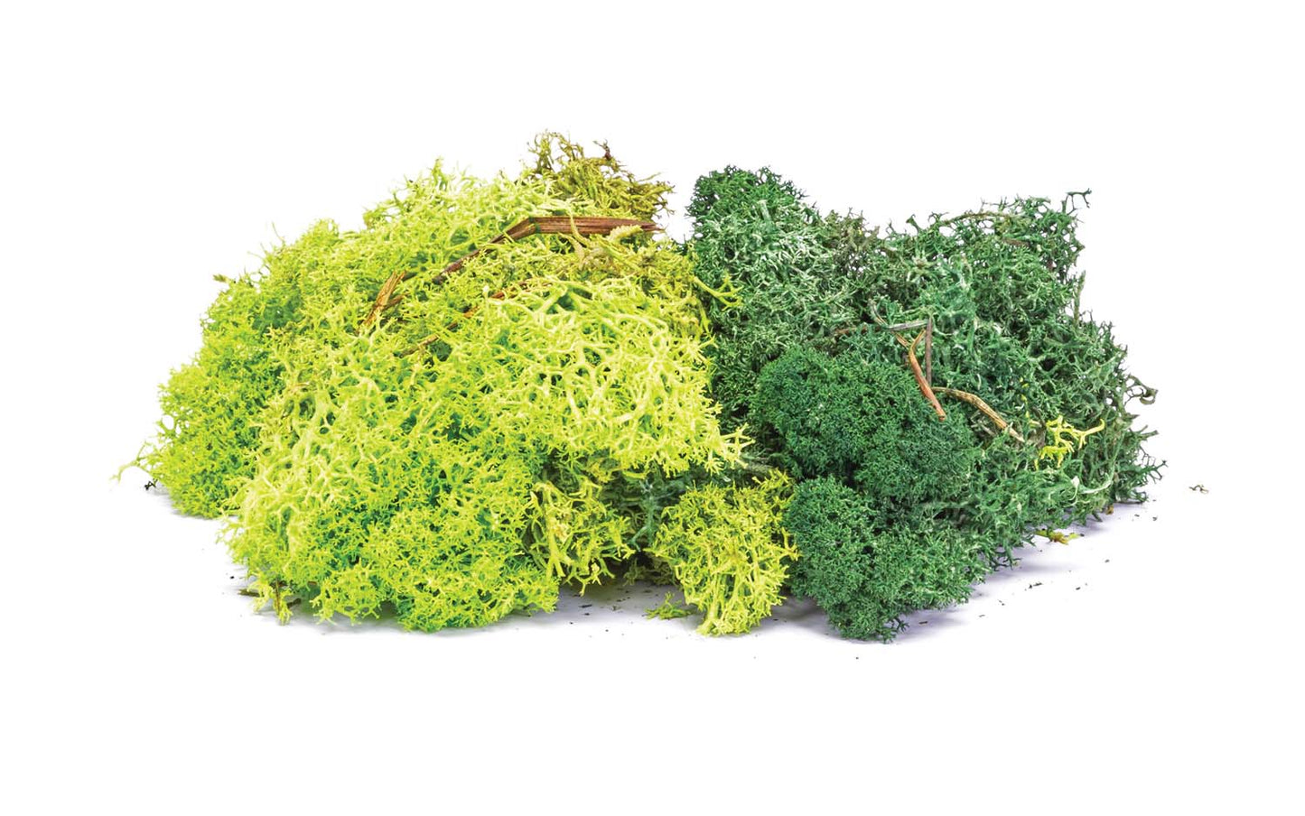 Hornby Lichen - Green Mix
