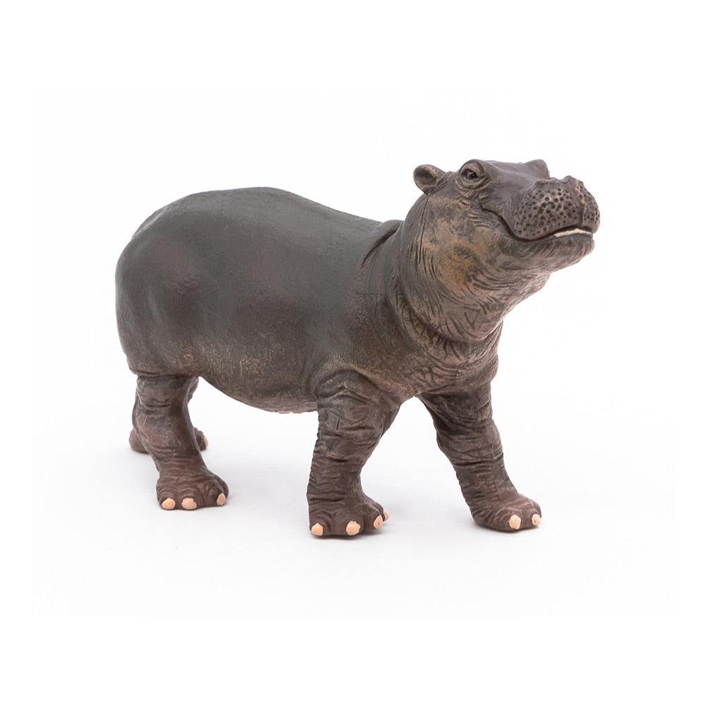 Papo-50052 Papo Animal, Color 50052-becerro hipopótamo, Multicolor (50052