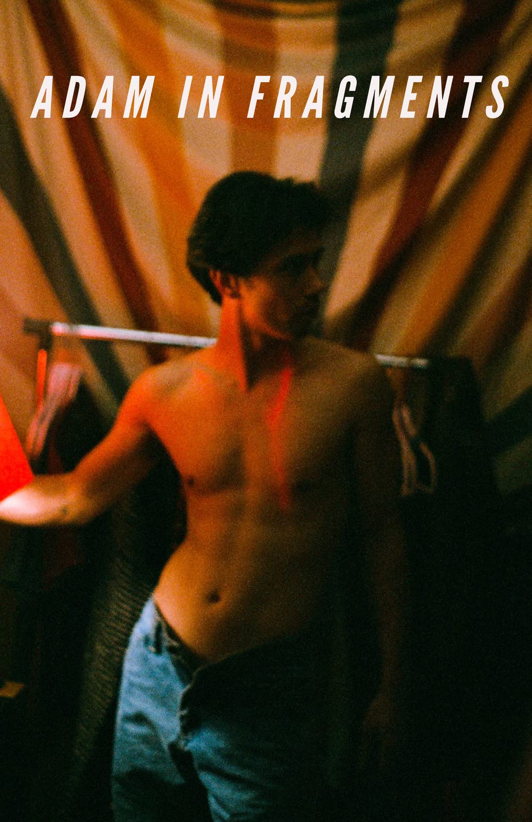 Adam in Fragments