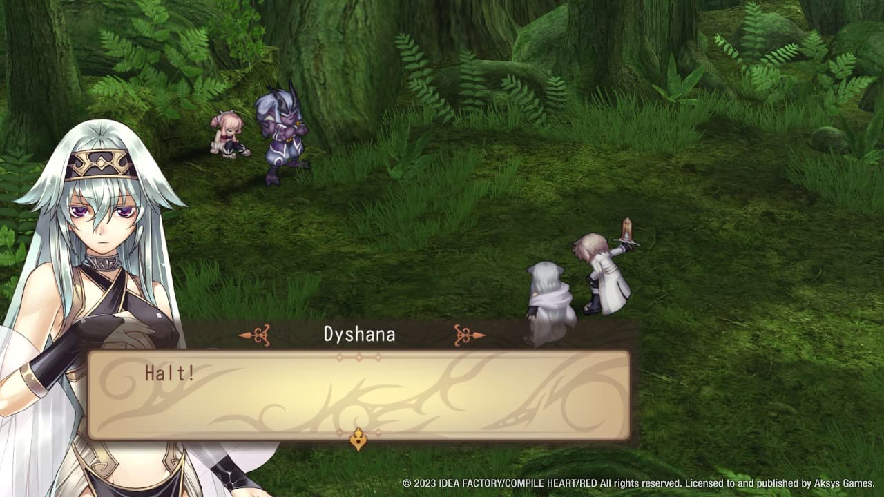 Record of Agarest War for Nintendo Switch