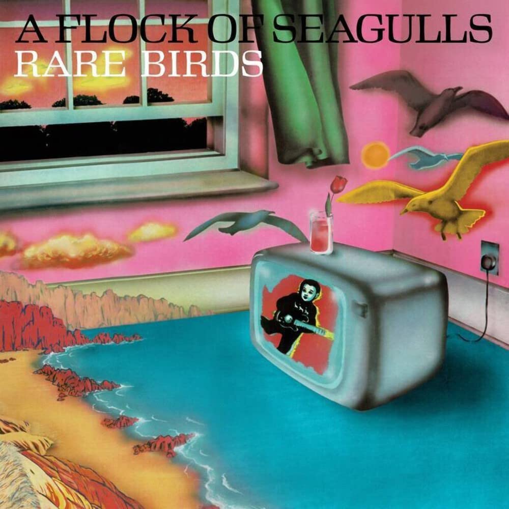 Rare Birds -'a Flock of Seagulls' B-Sides, Edits..
