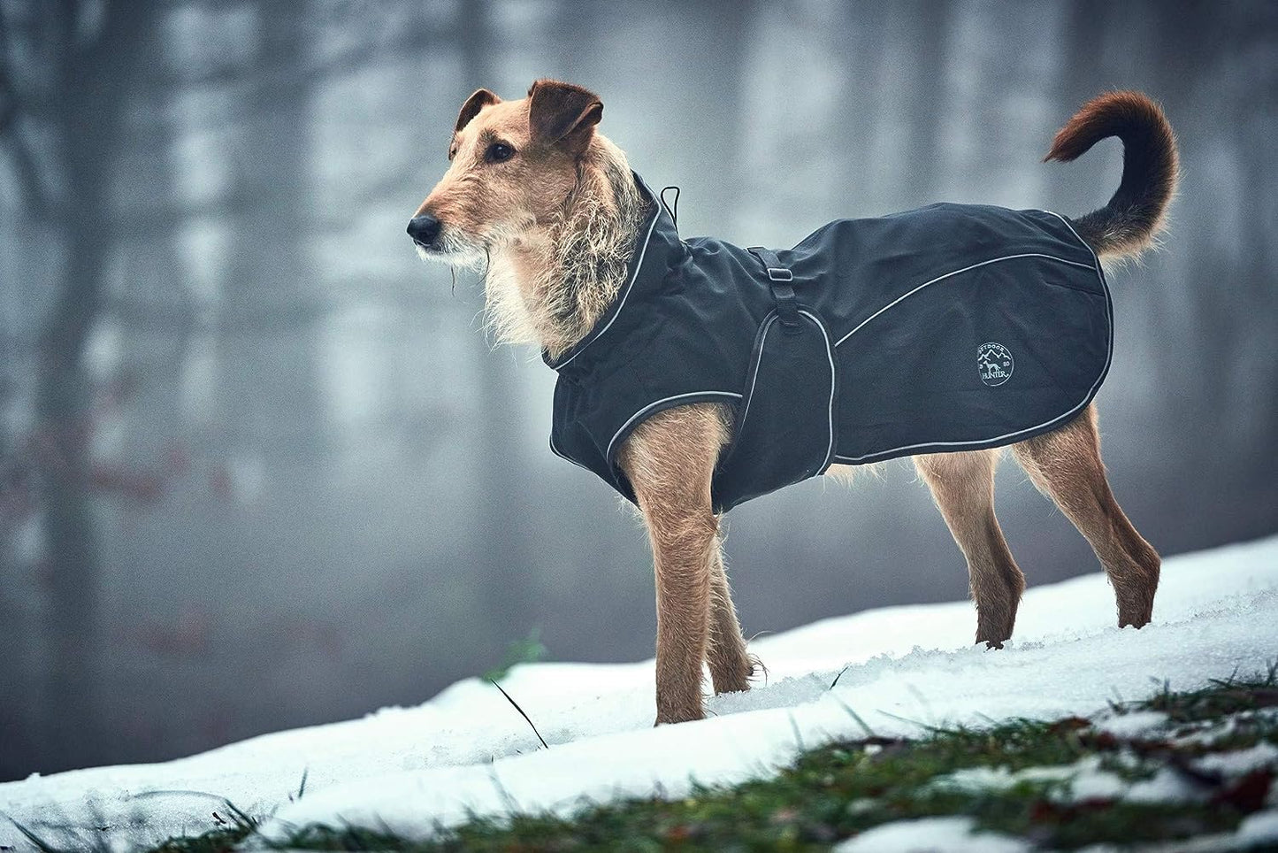 Hunter - Coat Uppsala Cozy 35 cm Black - (62969)