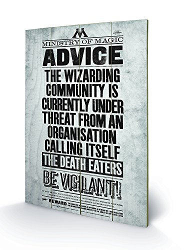 HARRY POTTER - Printing on wood 40X59 - Be Vigilan