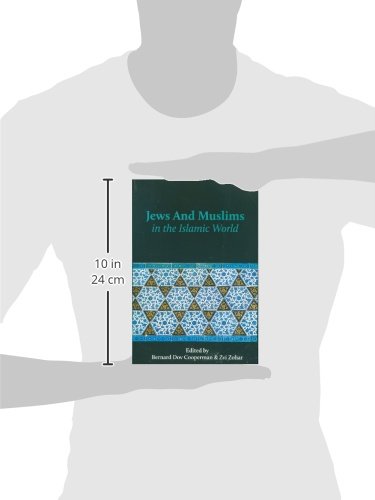 Jews and Muslims in the Islamic World: 21 (The Joseph and Rebecca Meyerhoff Center for Jewish Studies: Studies and Texts in Jewish History and Culture