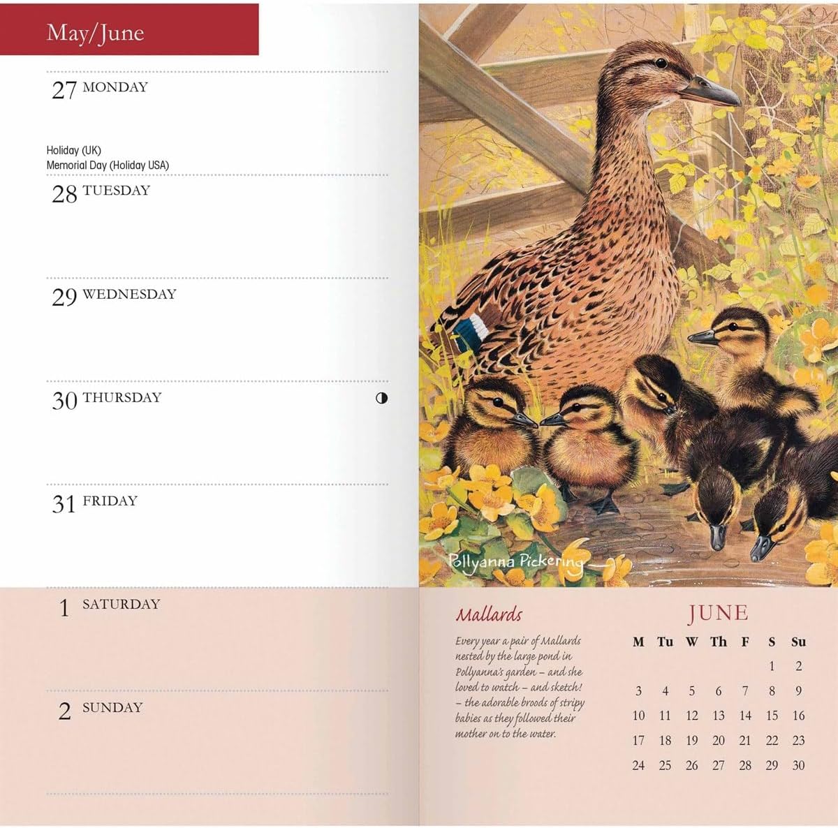 2024 Garden Birds by Pollyanna Slim Diary