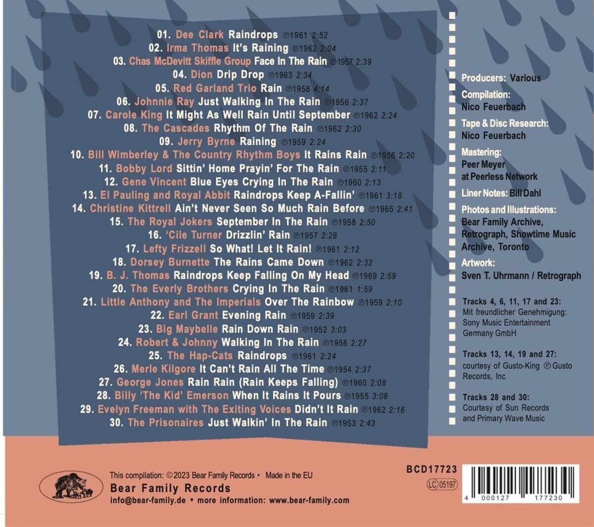 The Rhythm of the Rain: 30 Melodic Drops for Cloudy Days